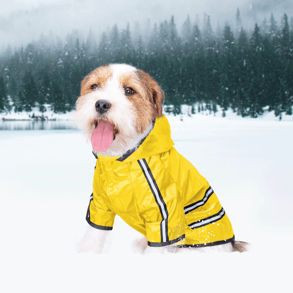 Chubasquero impermeable con capucha para perro – Amarillo 35 cm