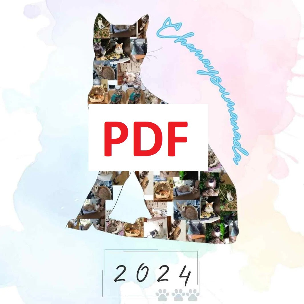 DIGITAL CALENDARIO 2024