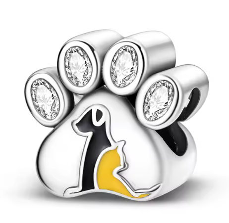 Charm solidario Chema y su Manada