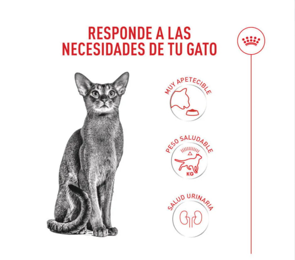 Royal Canin Fussy Exigent
