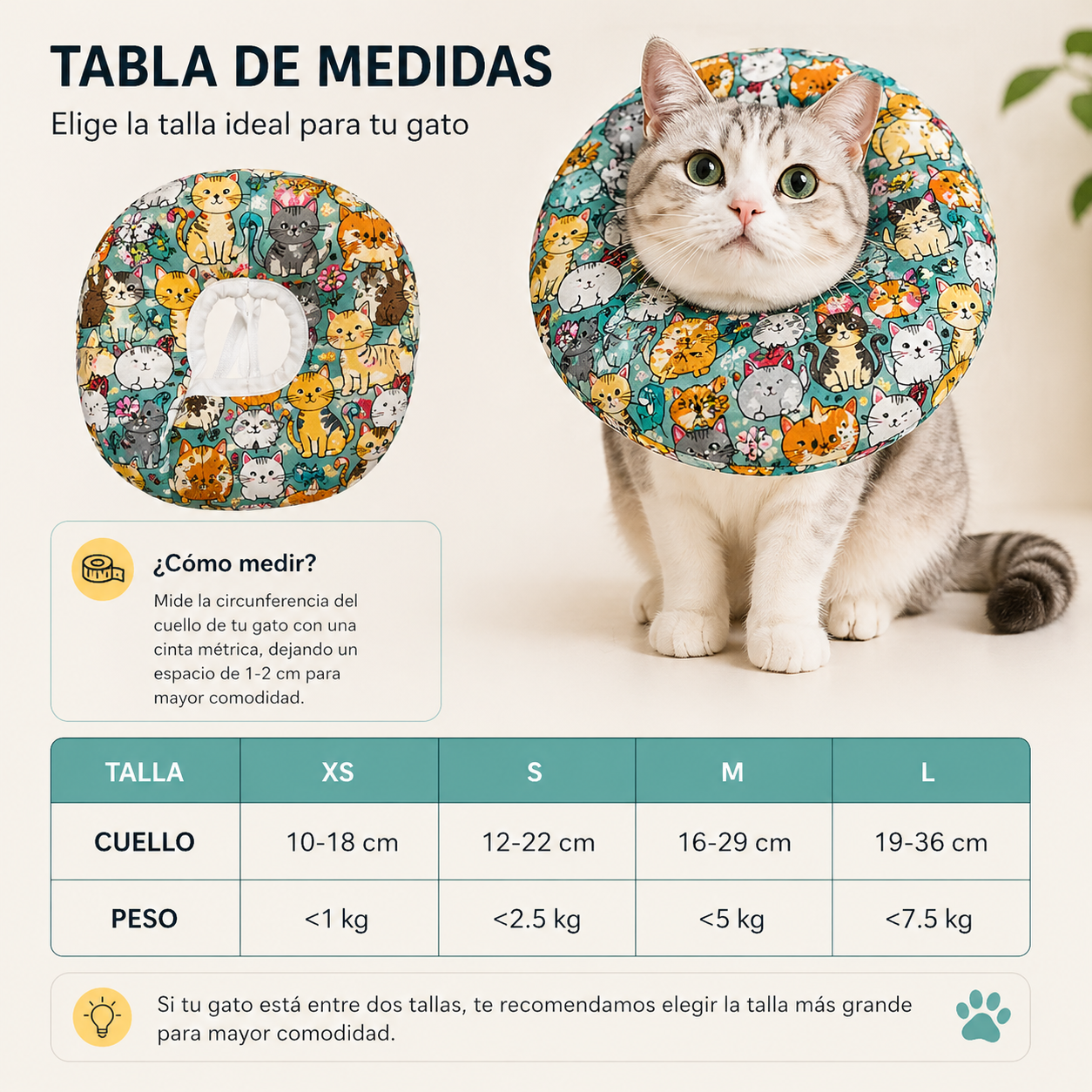 Collar Isabelino Suave. Diseño Divertido