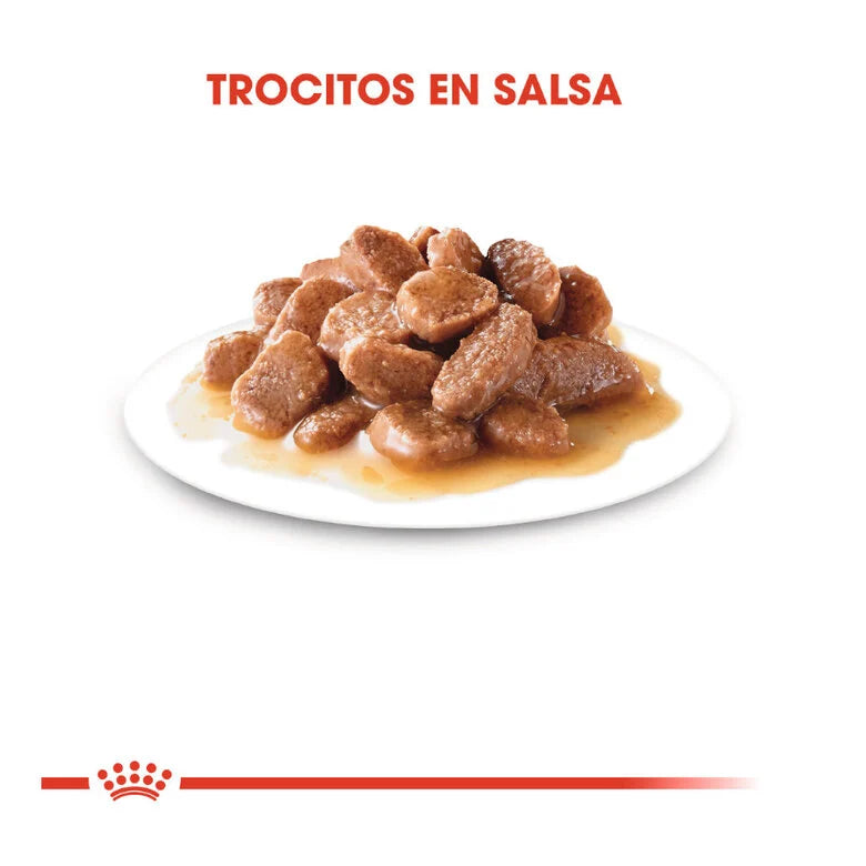 Royal Canin Senior Instinctive +7 85 gr (Sobre salsa)