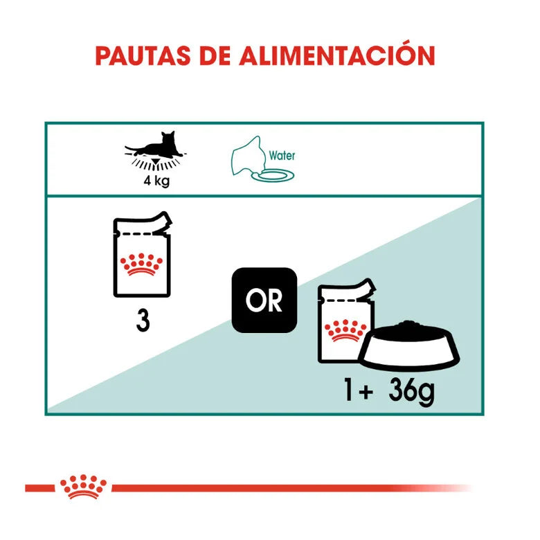Royal Canin Senior Instinctive +7 85 gr (Sobre salsa)