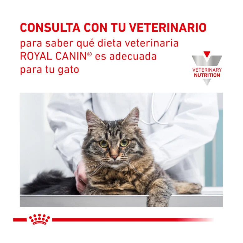 Royal Canin Veterinary Urinary S/O 85 gr (Sobre bocaditos en salsa)