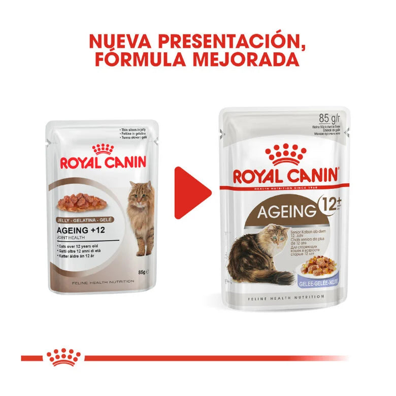 Royal Canin Senior Ageing +12 85 gr (Sobre gelatina)