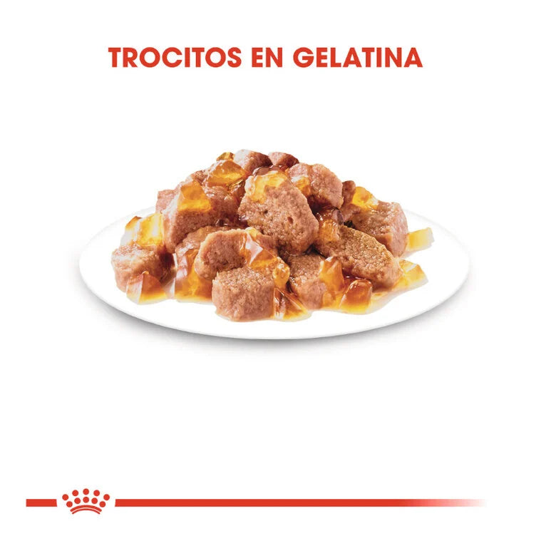 Royal Canin Sterilised 85 gr (Sobre gelatina)