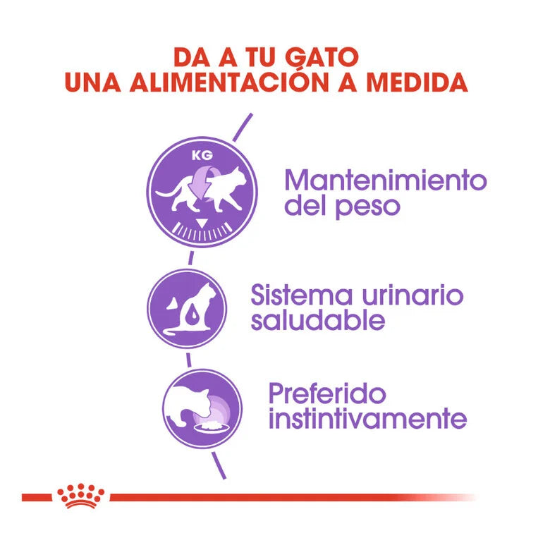 Royal Canin Sterilised 85 gr (Sobre gelatina)