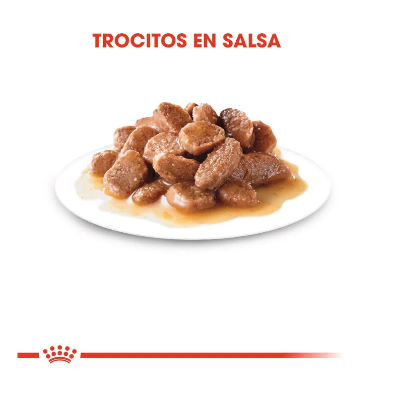 Royal Canin Sterilised 85 gr (Sobre Salsa)