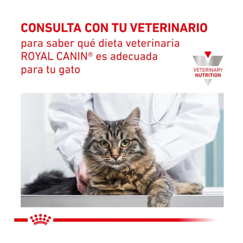 Royal Canin Veterinary Urinary S/O Moderate Calorie 85 gr (Sobre bocaditos en salsa)