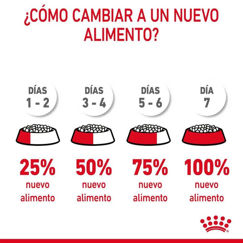 Royal Canin Adult Hair & Skin Care