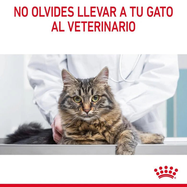 Royal Canin Adult Hair & Skin Care
