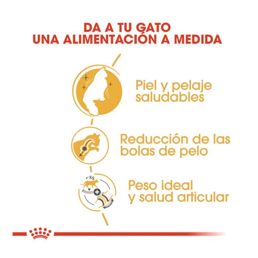 Royal Canin Adult Norwegian Forest Cat