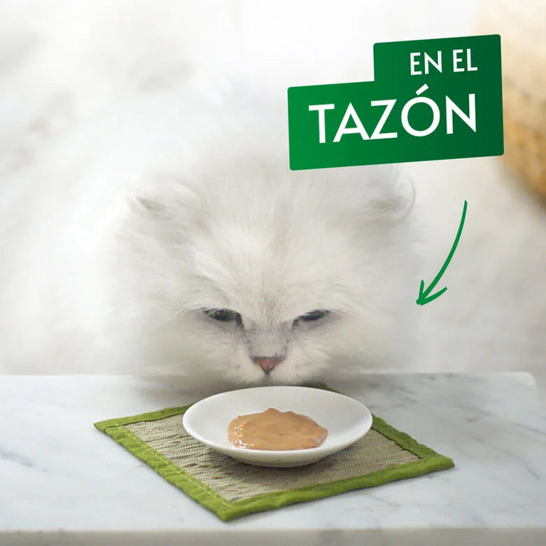 PURINA Gourmet Nature’s Creations Puré Pollo con Calabaza 5x10g