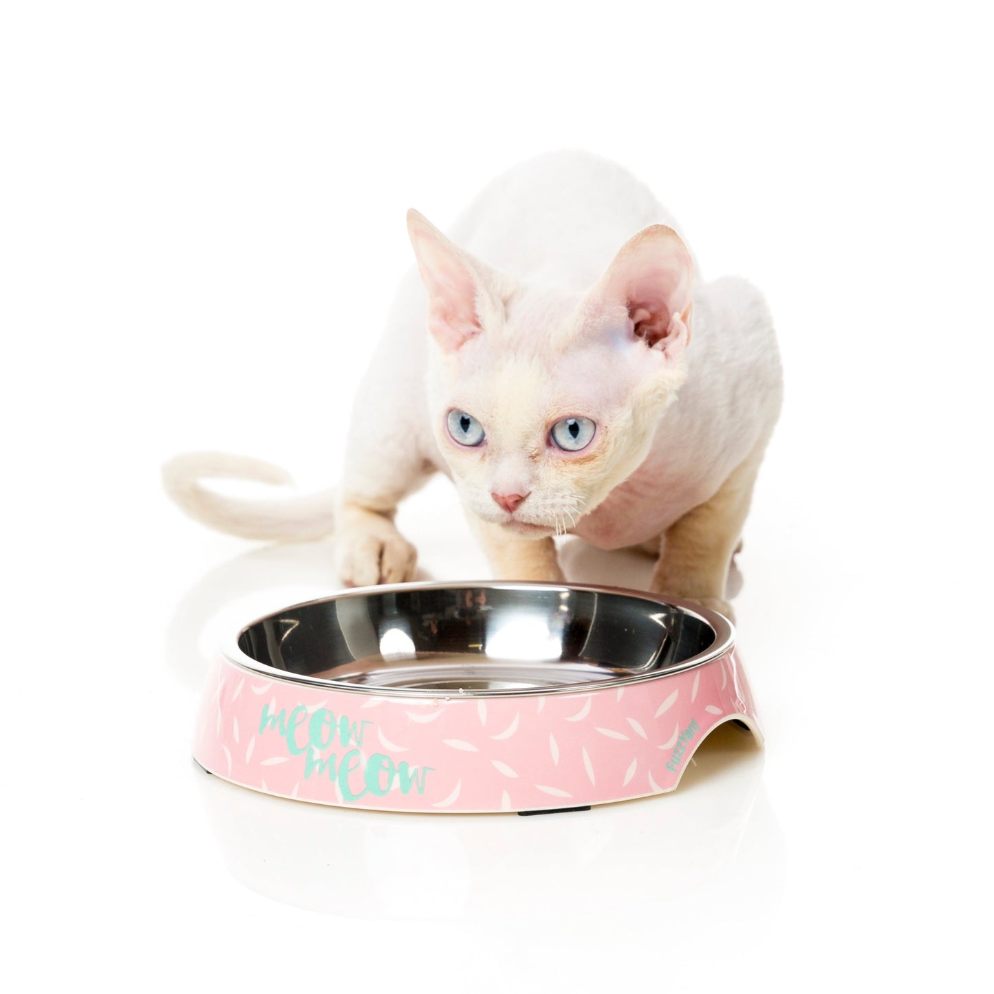 FUZZYARD CAT BOWL - FEATHERSTORM