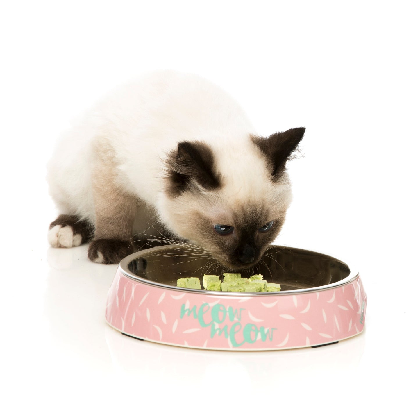 FUZZYARD CAT BOWL - FEATHERSTORM