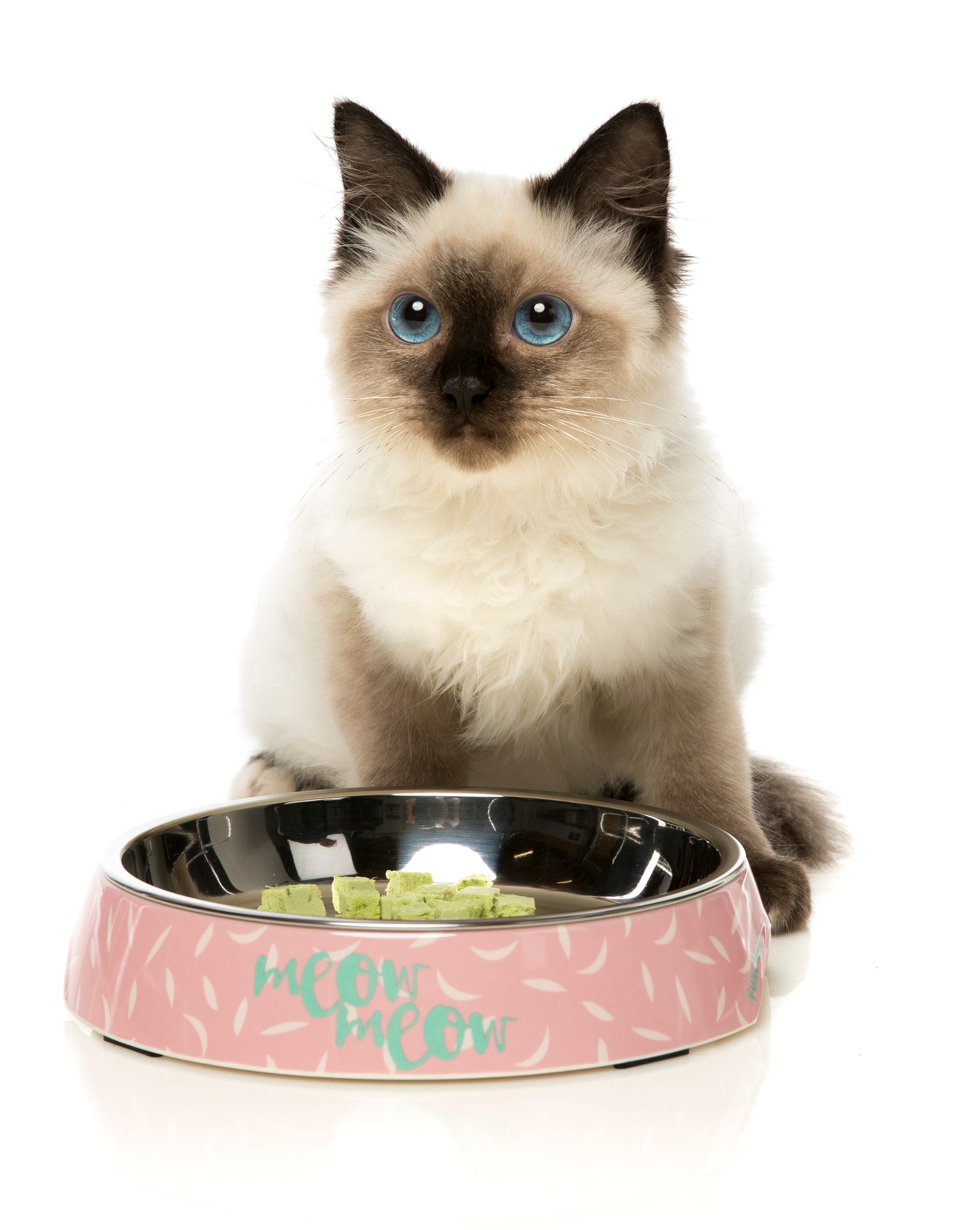 FUZZYARD CAT BOWL - FEATHERSTORM