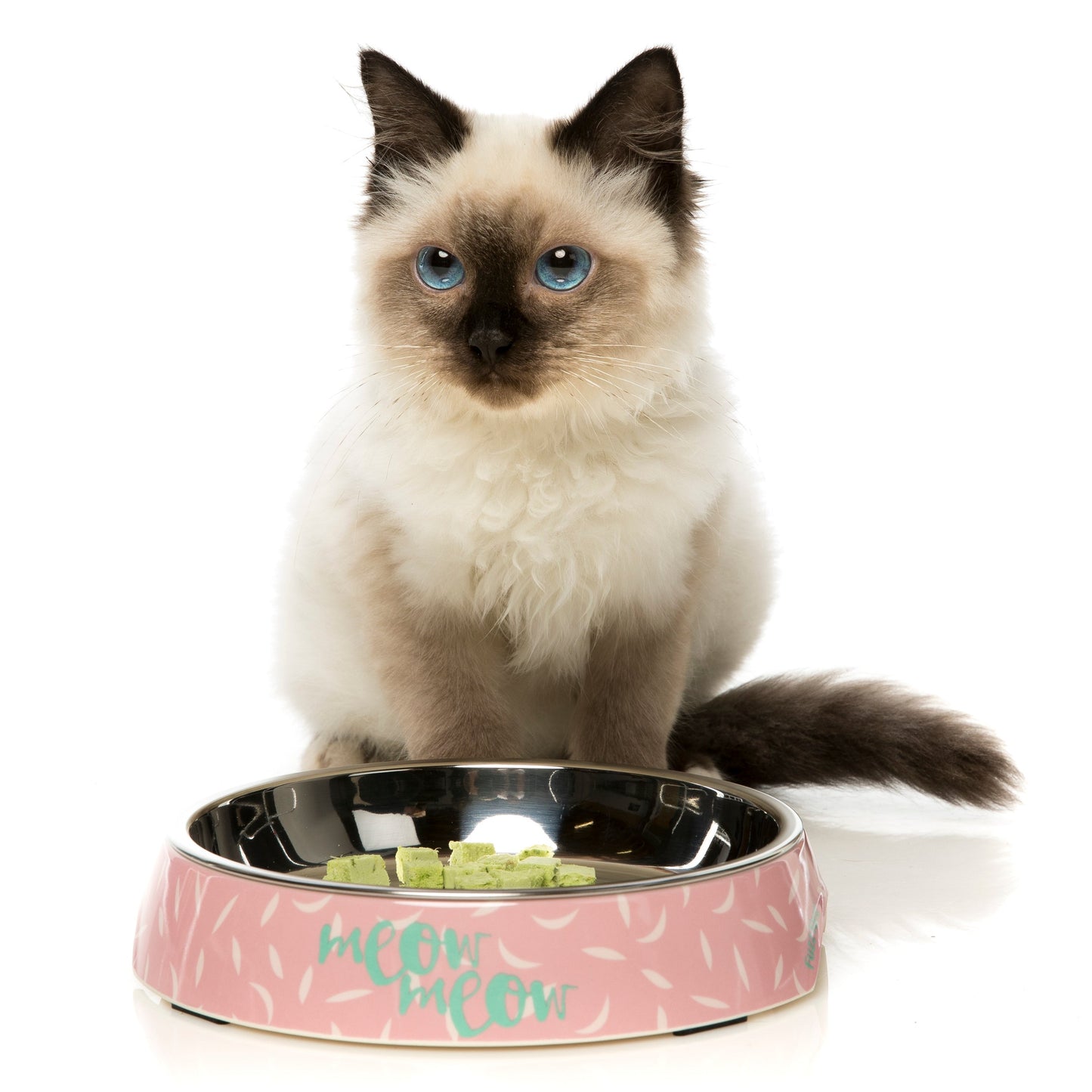 FUZZYARD CAT BOWL - FEATHERSTORM