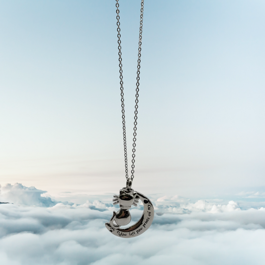 Cadena urna de acero con luna y gatito