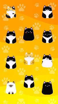 FONDO DE PANTALLA PARA MOVIL