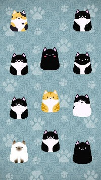 FONDO DE PANTALLA PARA MOVIL