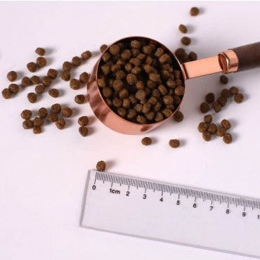KIT CAT NO GRAIN CON ATÚN Y SALMÓN - 1KG