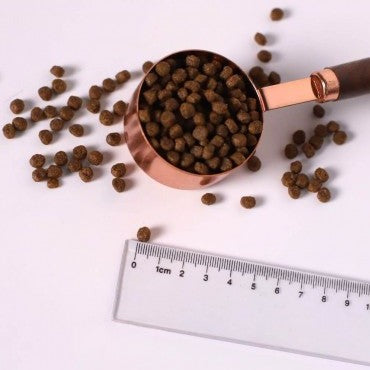 KIT CAT NO GRAIN CON POLLO Y PAVO - 1KG