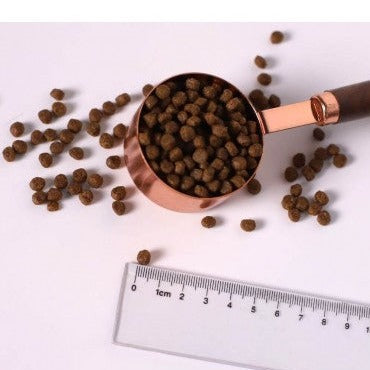 KIT CAT NO GRAIN CON POLLO Y SALMÓN - 1KG