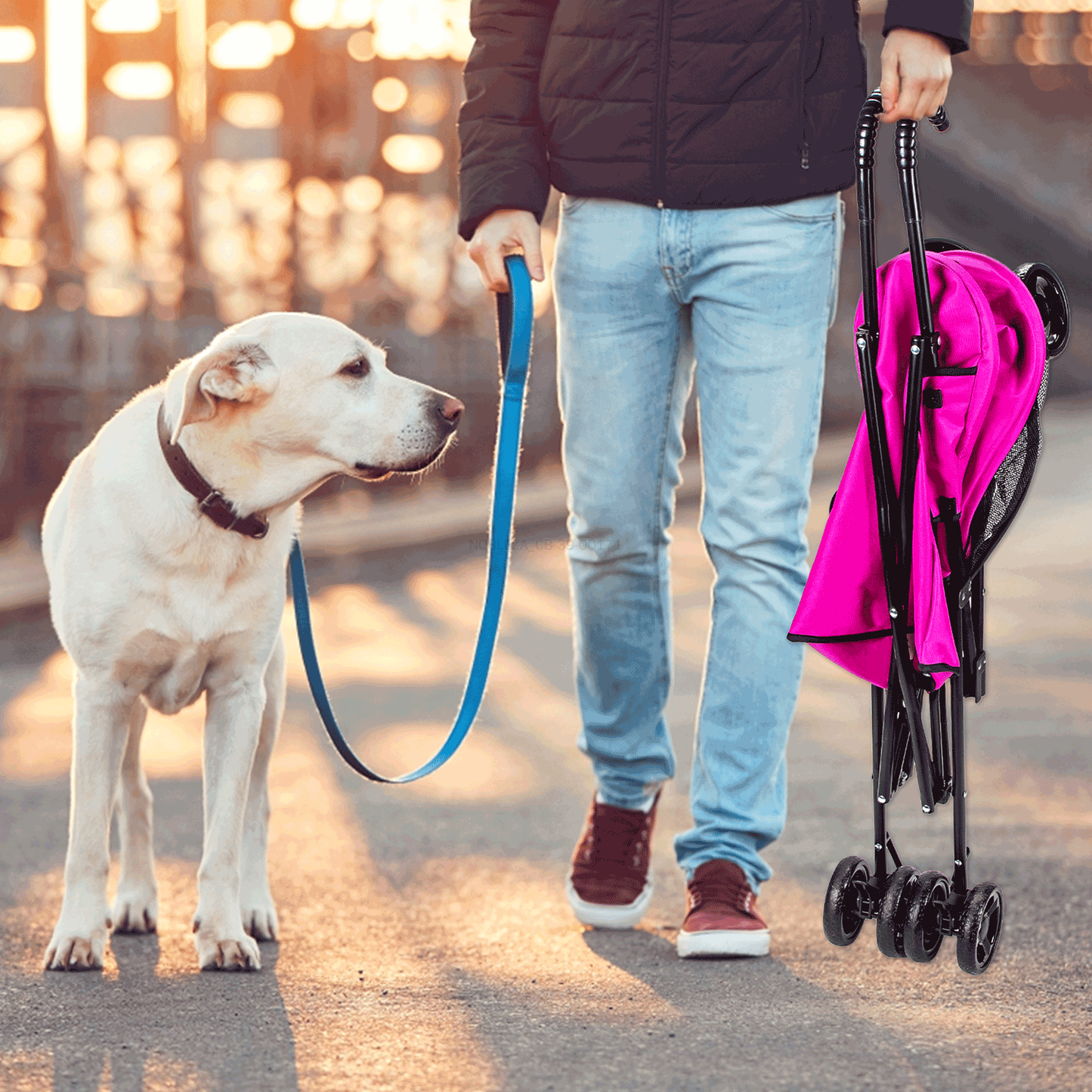 Silla de Paseo Rosa Roja