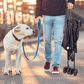 Cochecito de paseo para perro y gato – Negro