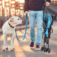 Silla de Paseo Azul Claro