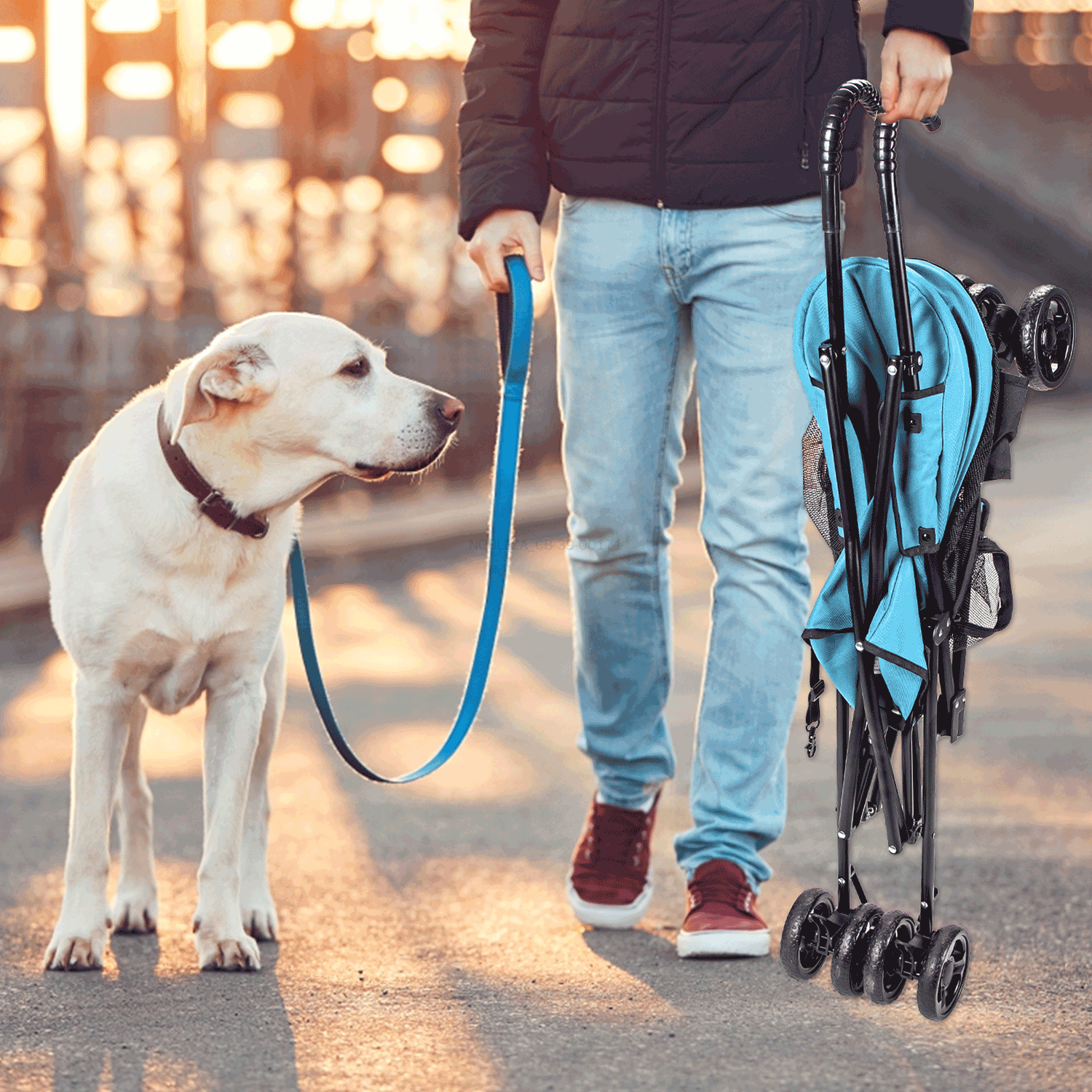 Silla de Paseo Azul Claro