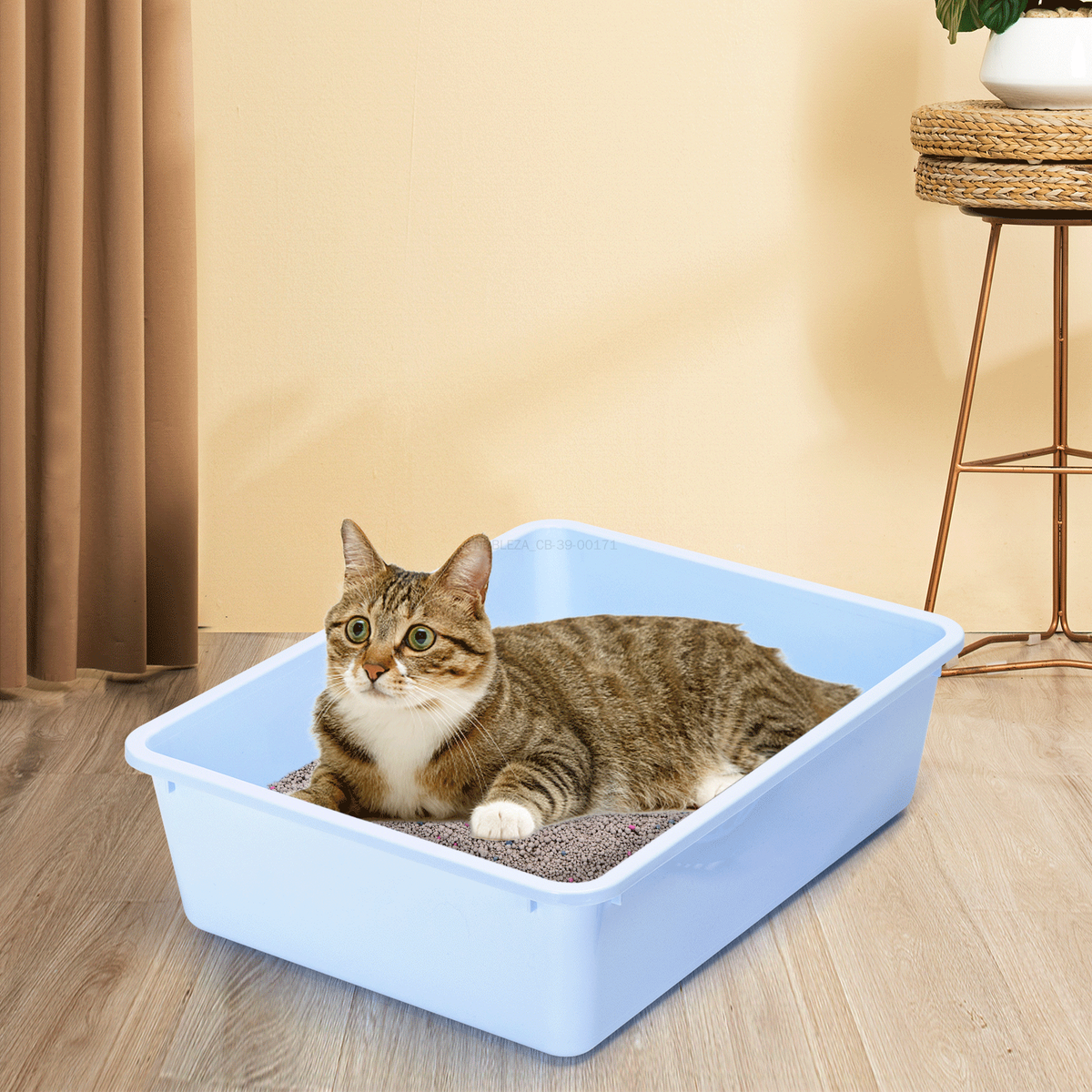Arenero para gatos con pala de 43 × 32,5 × 12 cm - Azul