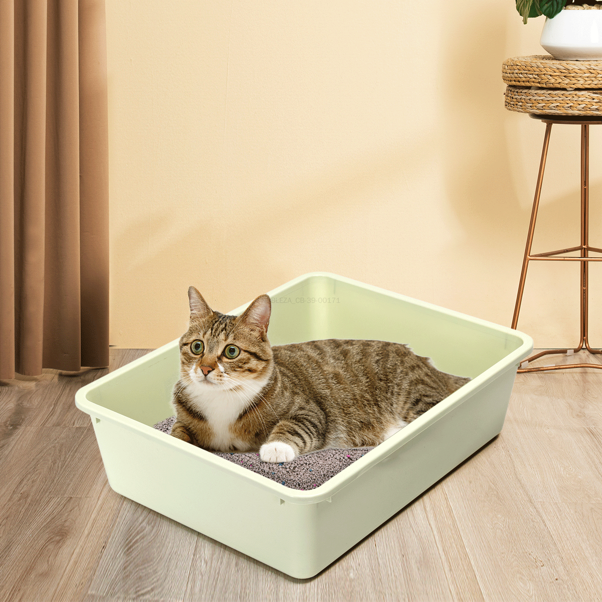 Arenero para gatos con pala de 43 × 32,5 × 12 cm - Verde