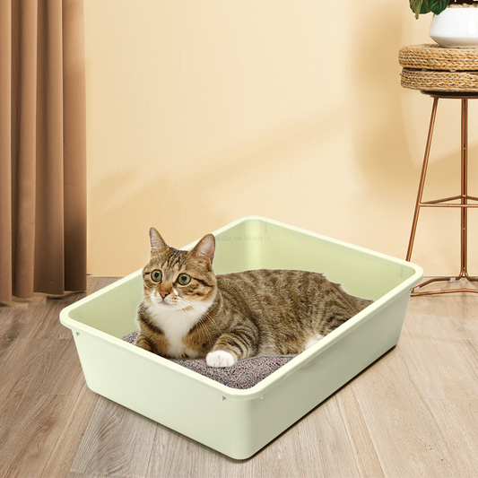Arenero para gatos con pala de 43 × 32,5 × 12 cm - Verde