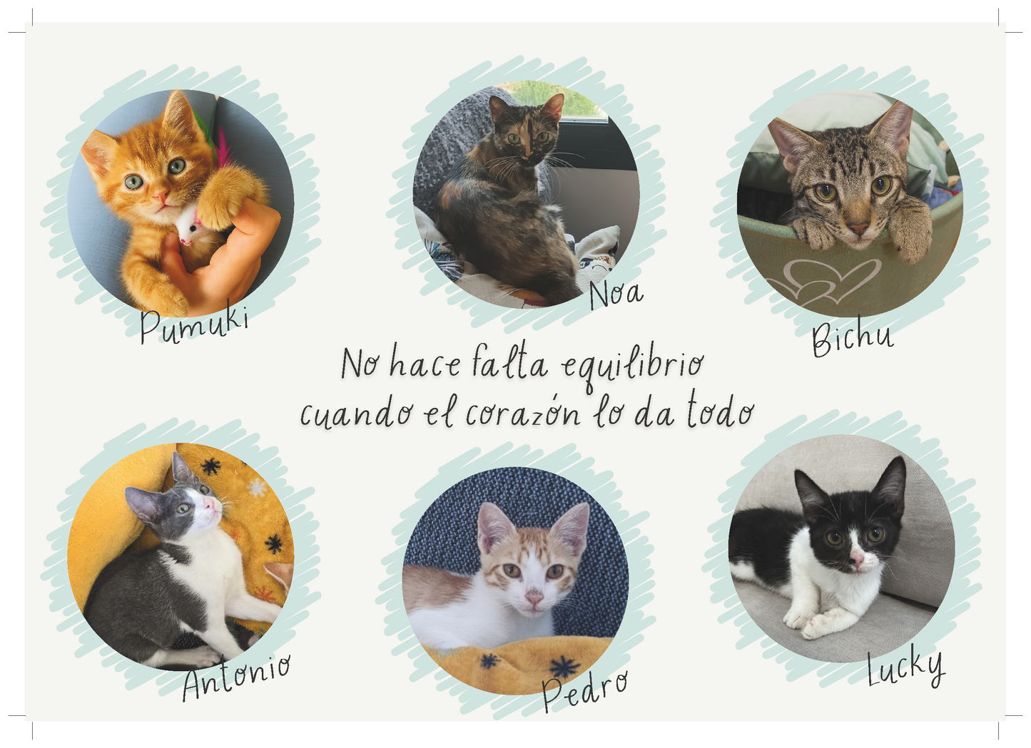 VERSIÓN IMPRESA Calendario Solidario 2026 – Chema y su Manada