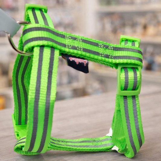 Arnés reflectante ajustable para gato o perro pequeño color verde