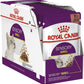 Royal Canin Sensory Smell 85 gr (Sobre salsa)