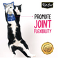 KIT CAT PURR PUREE PLUS - POLLO JOINT CARE 60G