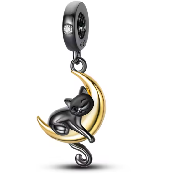 Charm solidario Chema y su Manada