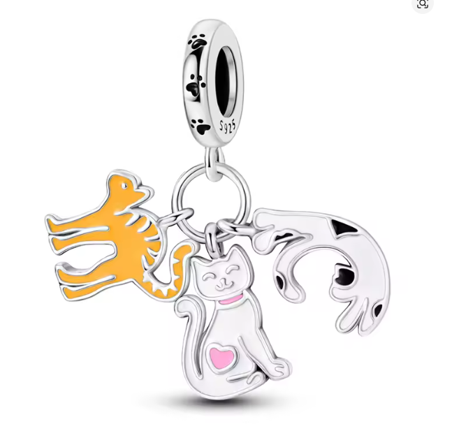 Charm solidario Chema y su Manada