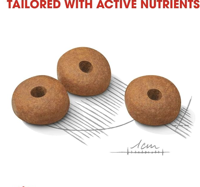 Royal Canin Mini Light Weight Care