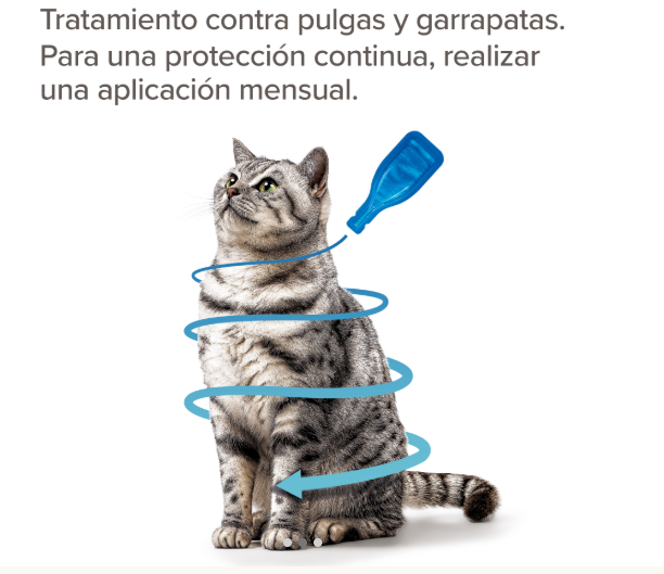 Beaphar FIPROtec® Pipeta Antiparasitaria para Gatos – 4 Pipetas