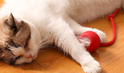 Pelota de juego interactiva con luz y cuerda