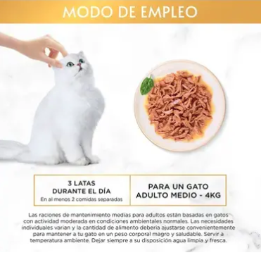 PURINA GOURMET GOLD Fondant pollo