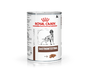 Gastro Intestinal Dog 12 X 400 Gr (Paté)