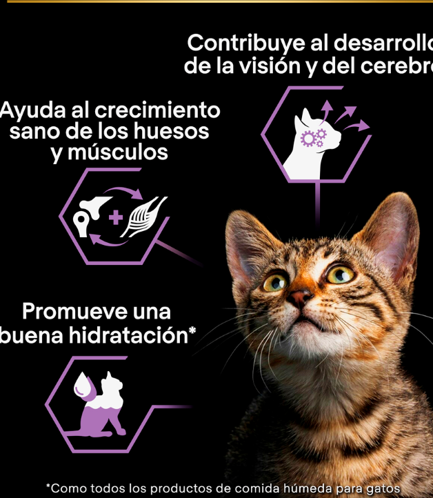 Pro Plan BABY KITTEN Mousse - Pollo 85 gr