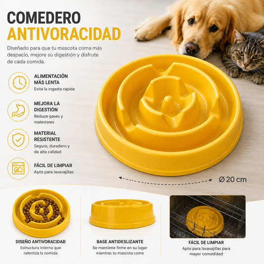 Comedero Antivoracidad para Perros y Gatos Ø 20 cm
