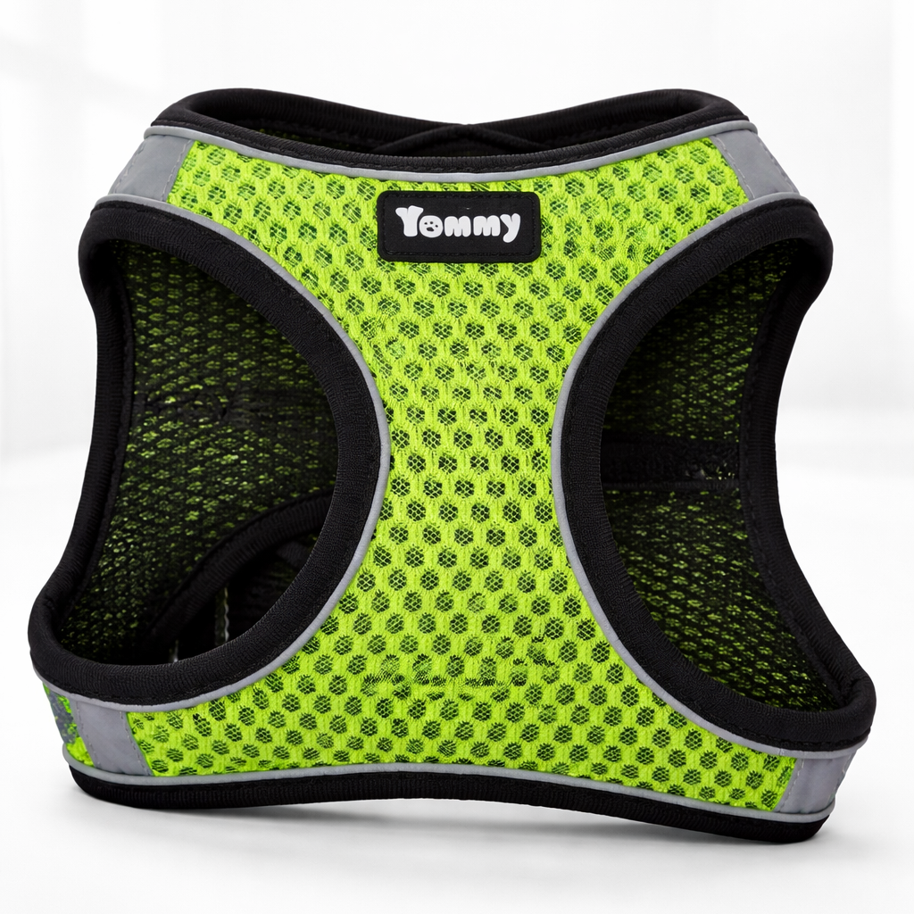 Arnés transpirable para perro y gato Tommy – Ajustable, ligero y seguro
