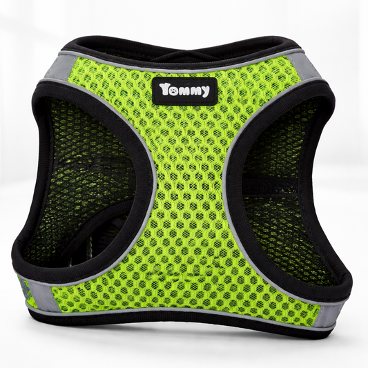 Arnés transpirable para perro y gato Tommy – Ajustable, ligero y seguro