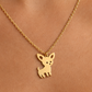 🐶 Collar de Acero Dorado Chihuahua – Pequeño pero con Mucho Amor
